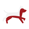 Vitality & Agility Vitality & Agility