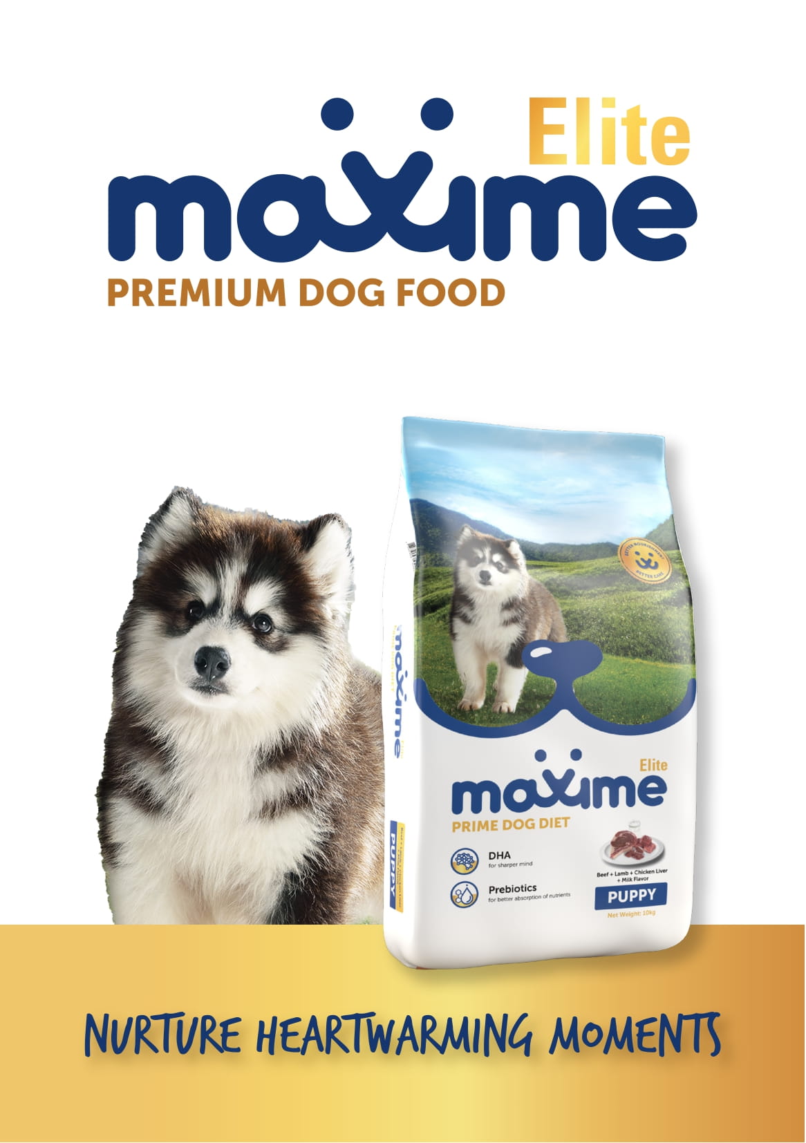 Maxime Elite Puppy Brochure